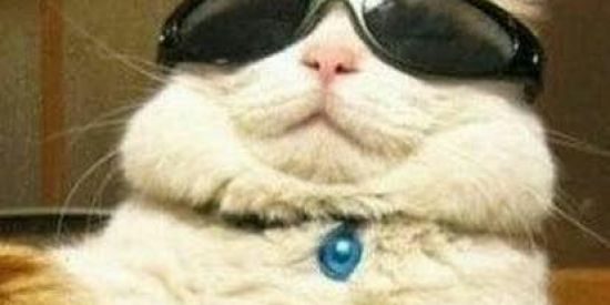 Imagem do grupo de WhatsApp ʙᴜᴛᴇᴄᴏ ᴅᴏ ᴡøøᴅʏ