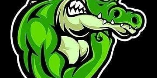 Imagem do grupo de WhatsApp ̶T̶R̶O̶P̶A̶ ̶L̶A̶C̶O̶S̶T̶A̶D̶A̶ ̶🐊