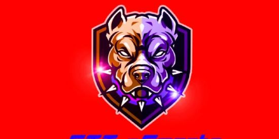 Imagem do grupo de WhatsApp STT ESPORTS RECRUTAMENTO