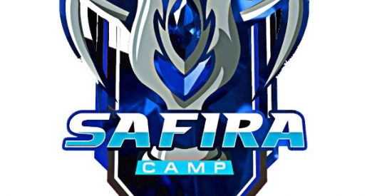 Imagem do grupo de WhatsApp SAFIRA FF