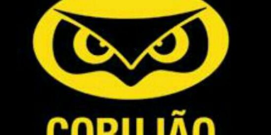 Imagem do grupo de WhatsApp 🦉C H ᗅ ᝨ  C ⌾ R Ⴎ I Ã⌾🦉