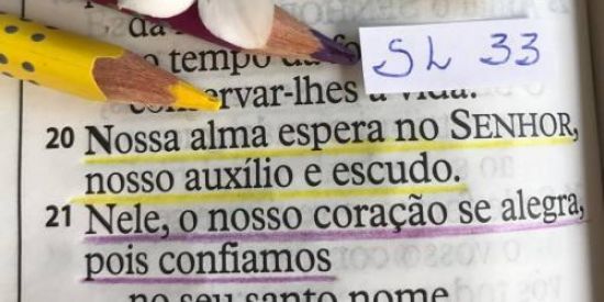 Imagem do grupo de WhatsApp Devocional jovem ✝️