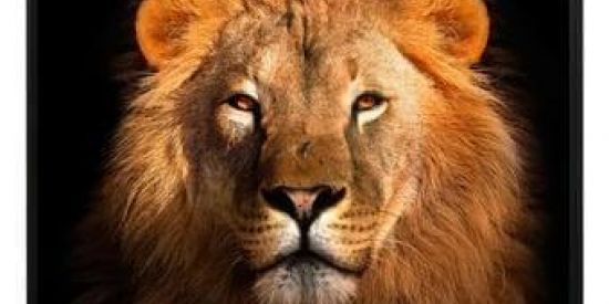 Imagem do grupo de WhatsApp 🦁 Triagem IT's 🦁