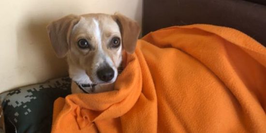 Imagem do grupo de WhatsApp Amigxs ❤️‍🔥 ESPAÑOL