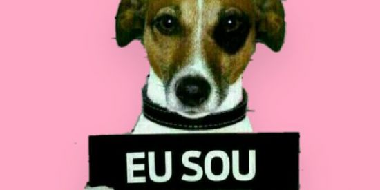 Imagem do grupo de WhatsApp 💯 Zoação - Libera o Toim👌🏼