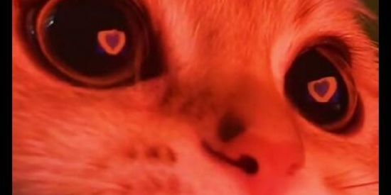 Imagem do grupo de WhatsApp Chat do Pedrrin😴