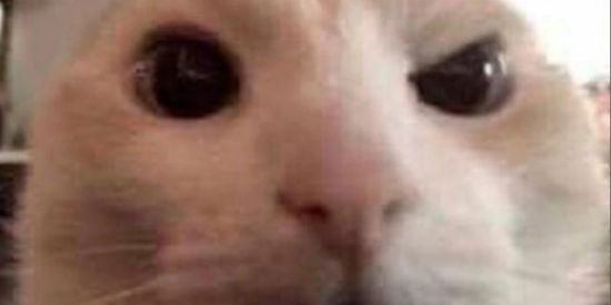 Imagem do grupo de WhatsApp FAS DO ABIZINN😎❤️