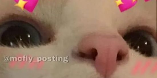 Imagem do grupo de WhatsApp Casalzao 😏