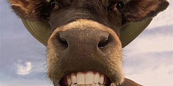 Imagem do grupo de WhatsApp 🦎HÔSPÏCÏO ON-LINE🤧🤕🤒