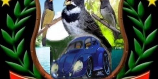 Imagem do grupo de WhatsApp Marcha lenta