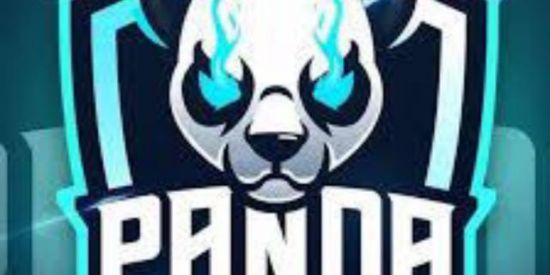 Imagem do grupo de WhatsApp GUILDA PANDA