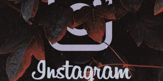 Imagem do grupo de WhatsApp Instagram