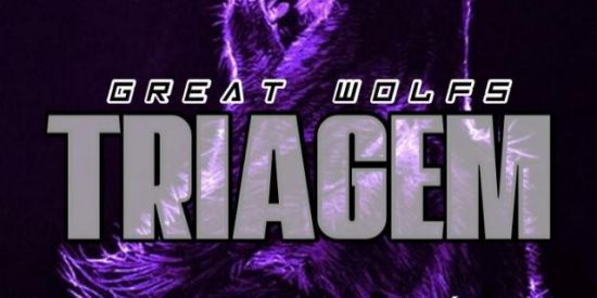 Imagem do grupo de WhatsApp 🐺TRIAGEM GREAT WOLFS🐺