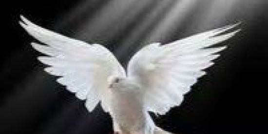 Imagem do grupo de WhatsApp àwọn ọmọ mímọ́