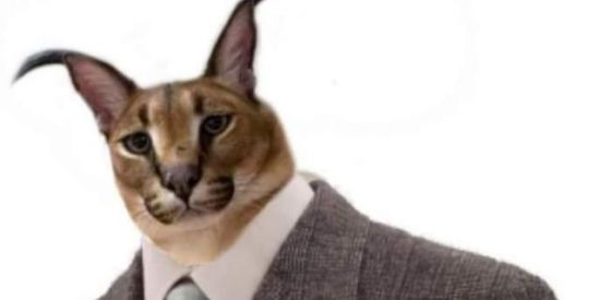 Imagem do grupo de WhatsApp Zapkkkkkkkkkkkkkkkkkkkk