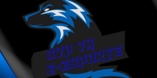 Imagem do grupo de WhatsApp SVP VK E-ESPORTE