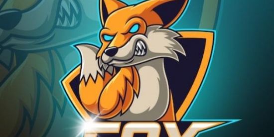 Imagem do grupo de WhatsApp FOX INFLUENCER