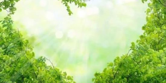 Imagem do grupo de WhatsApp Só amizade?😸