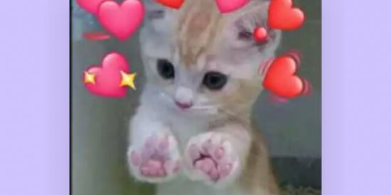 Imagem do grupo de WhatsApp NÃO VALE SE APAIXONAR 🥵😏