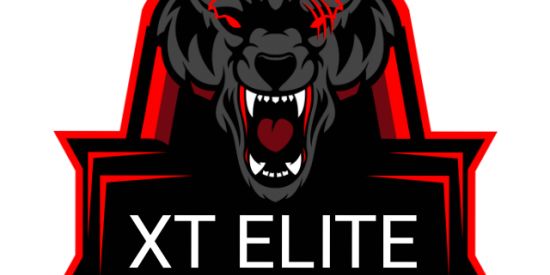 Imagem do grupo de WhatsApp XT ELITE