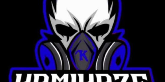Imagem do grupo de WhatsApp 🇪🇪KAMIKAZE ORG 🇪🇪 10%