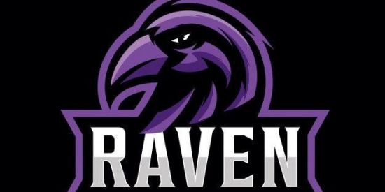 Imagem do grupo de WhatsApp 🦅TRIAGEM PJT.RAVEN🦅