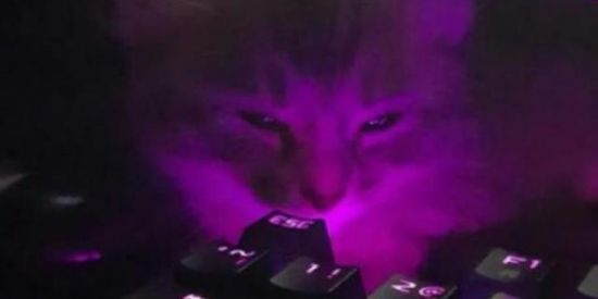 Imagem do grupo de WhatsApp Chat da galera só zuera