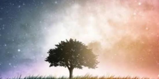 Imagem do grupo de WhatsApp Espaço