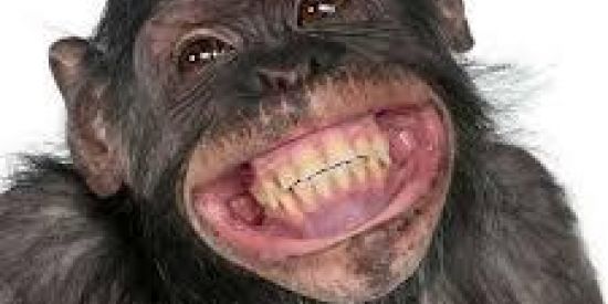 Imagem do grupo de WhatsApp 💯Limites