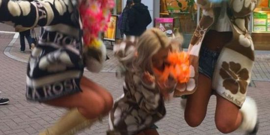 Imagem do grupo de WhatsApp The Fruit Girls