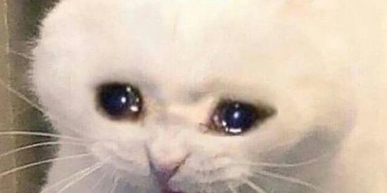 Imagem do grupo de WhatsApp HOTEL DOS POBRES😆😝🥶