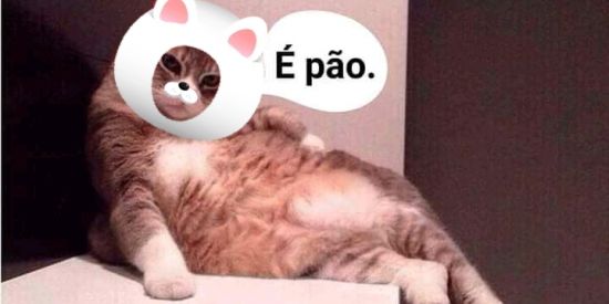 Imagem do grupo de WhatsApp Apenas Figurinha