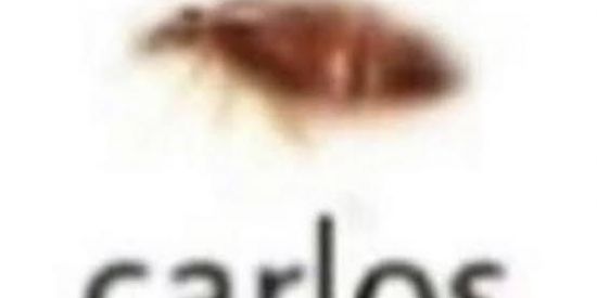 Imagem do grupo de WhatsApp sʜɪᴛᴘᴏsᴛ ᴀ ʀᴇsɪsᴛᴇɴᴄɪᴀ