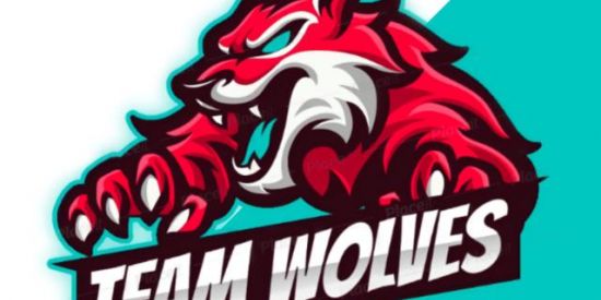 Imagem do grupo de WhatsApp RECRUTAMENTO WTS