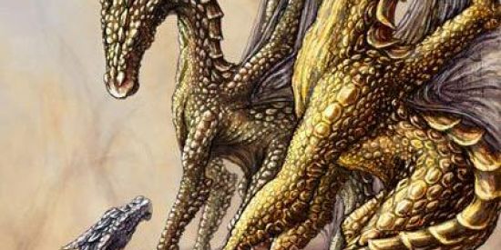 Imagem do grupo de WhatsApp Hokage 400 dragões