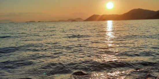 Imagem do grupo de WhatsApp Luau dos criaa🥴🥳🇨🇦📢