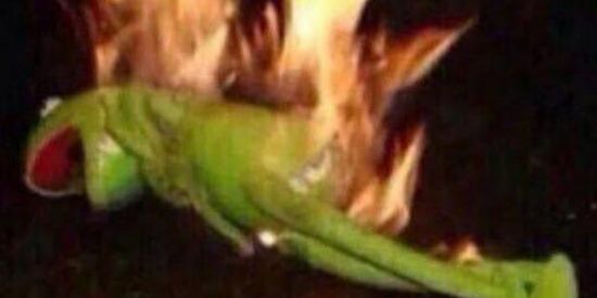 Imagem do grupo de WhatsApp Fogo de deus me pegou