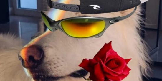 Imagem do grupo de WhatsApp Zuera total