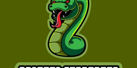 Imagem do grupo de WhatsApp 01 SERPENTES🐍