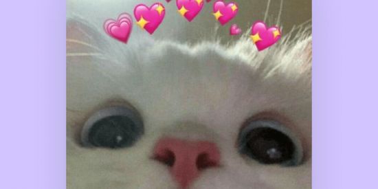 Imagem do grupo de WhatsApp Melhores bff🤞🏼❤️🫂