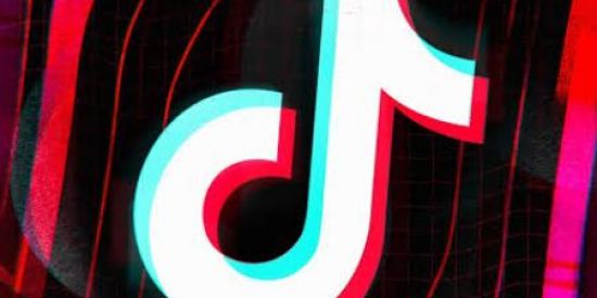 Imagem do grupo de WhatsApp Mutirão  de tio Tok