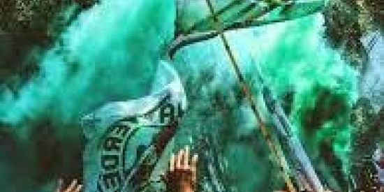 Imagem do grupo de WhatsApp Mancha Verde 💚💚