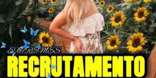 Imagem do grupo de WhatsApp Recrutamento Sulflower