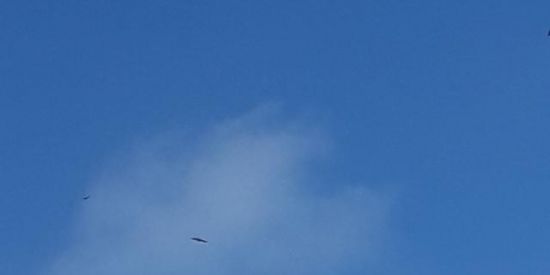 Imagem do grupo de WhatsApp Grupo gospel