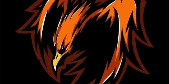 Imagem do grupo de WhatsApp XT DOS PARCEIROS