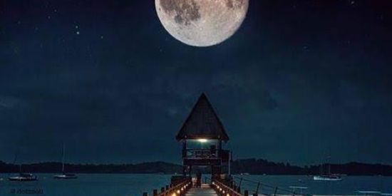 Imagem do grupo de WhatsApp Moonlight🌙