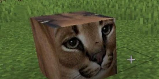 Imagem do grupo de WhatsApp shitpost😎👌