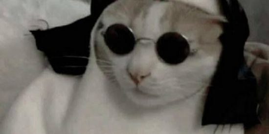 Imagem do grupo de WhatsApp <•ZOEIRA•>🔥🌝