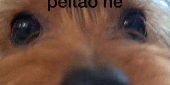 Imagem do grupo de WhatsApp fastzinzeze 😈🔥