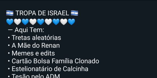 Imagem do grupo de WhatsApp 🇮🇱 TROPA  DE  ISRAEL  🇮🇱